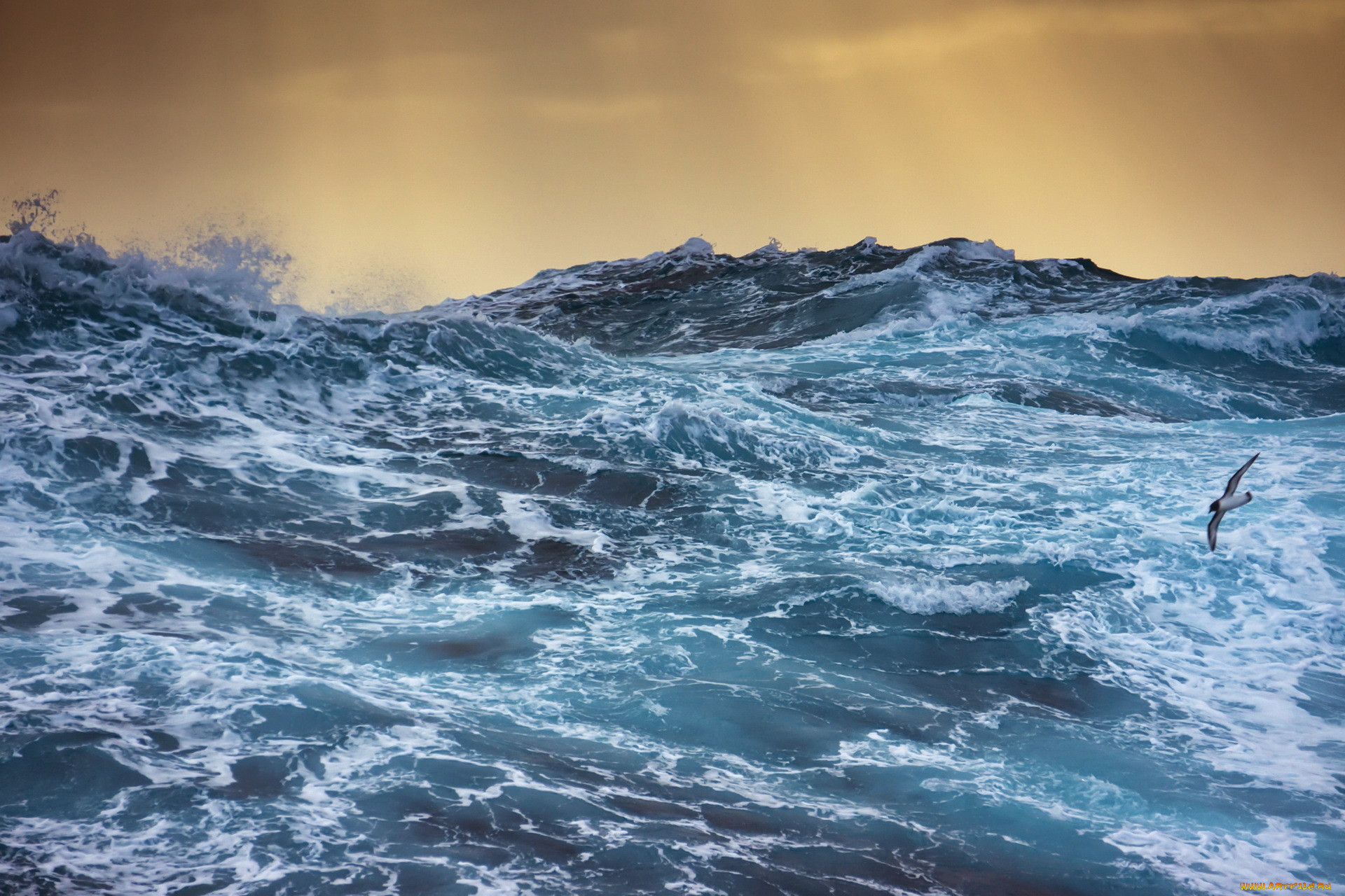 Первый открытый океан. Бушующее море. Море, волны. Океан волны. Шторм в океане.